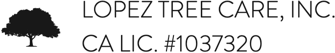 Lopez Tree Care Inc logo