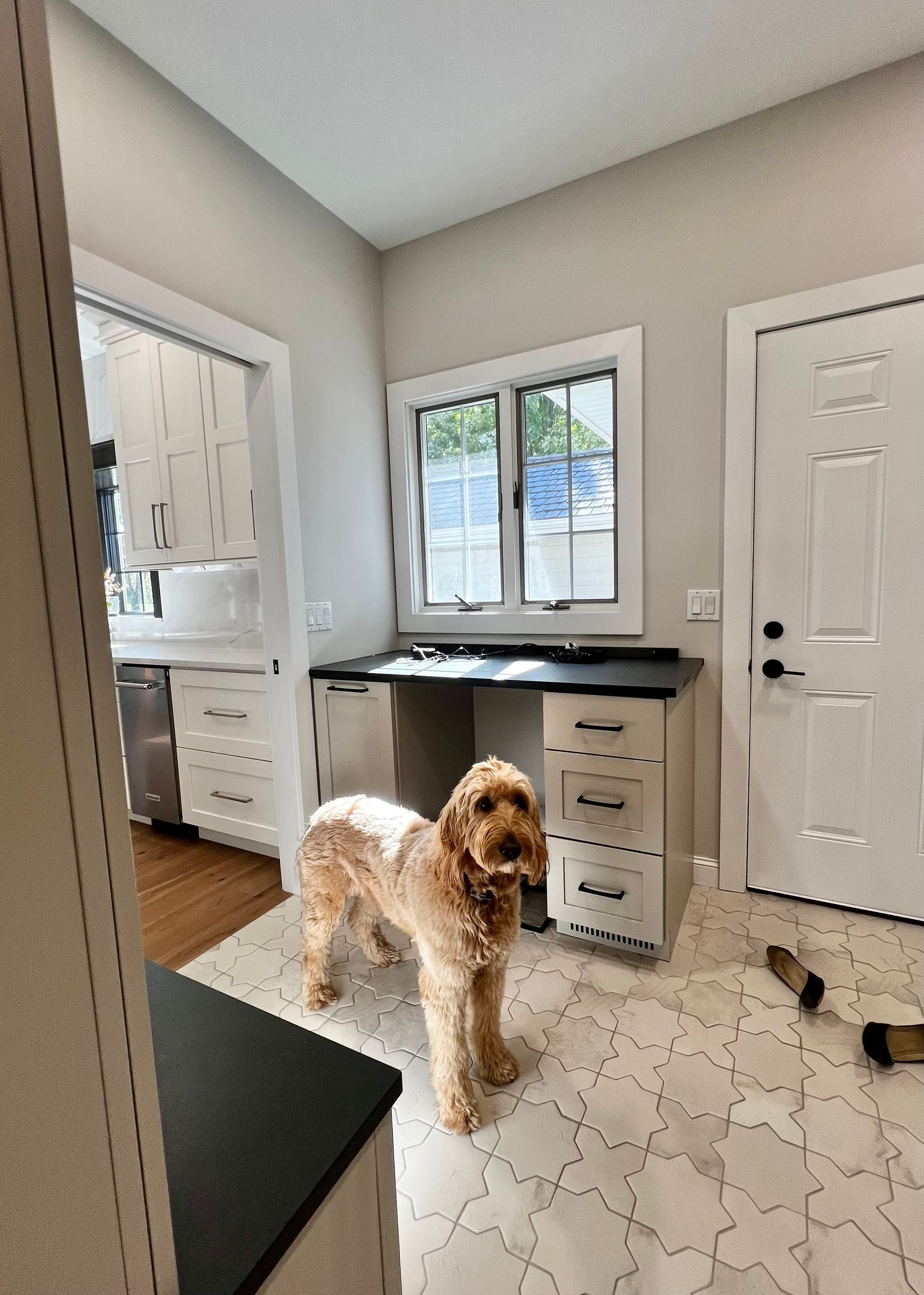 A gold-colored dog stands in a laundry room with white cabinets, a black countertop, and patterned tile flooring.
