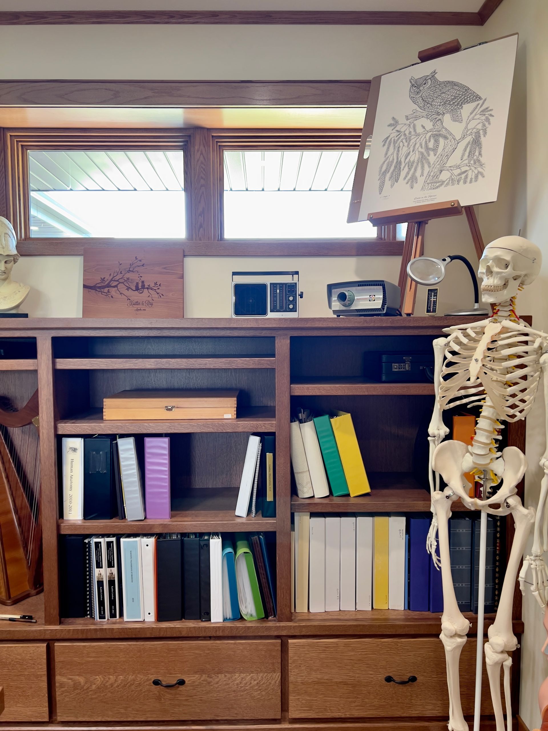 A bookshelf filled with books, binders, and a plastic anatomical skeleton, with a framed owl drawing on an easel above.