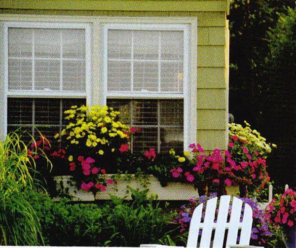 Get personal attention for your windows