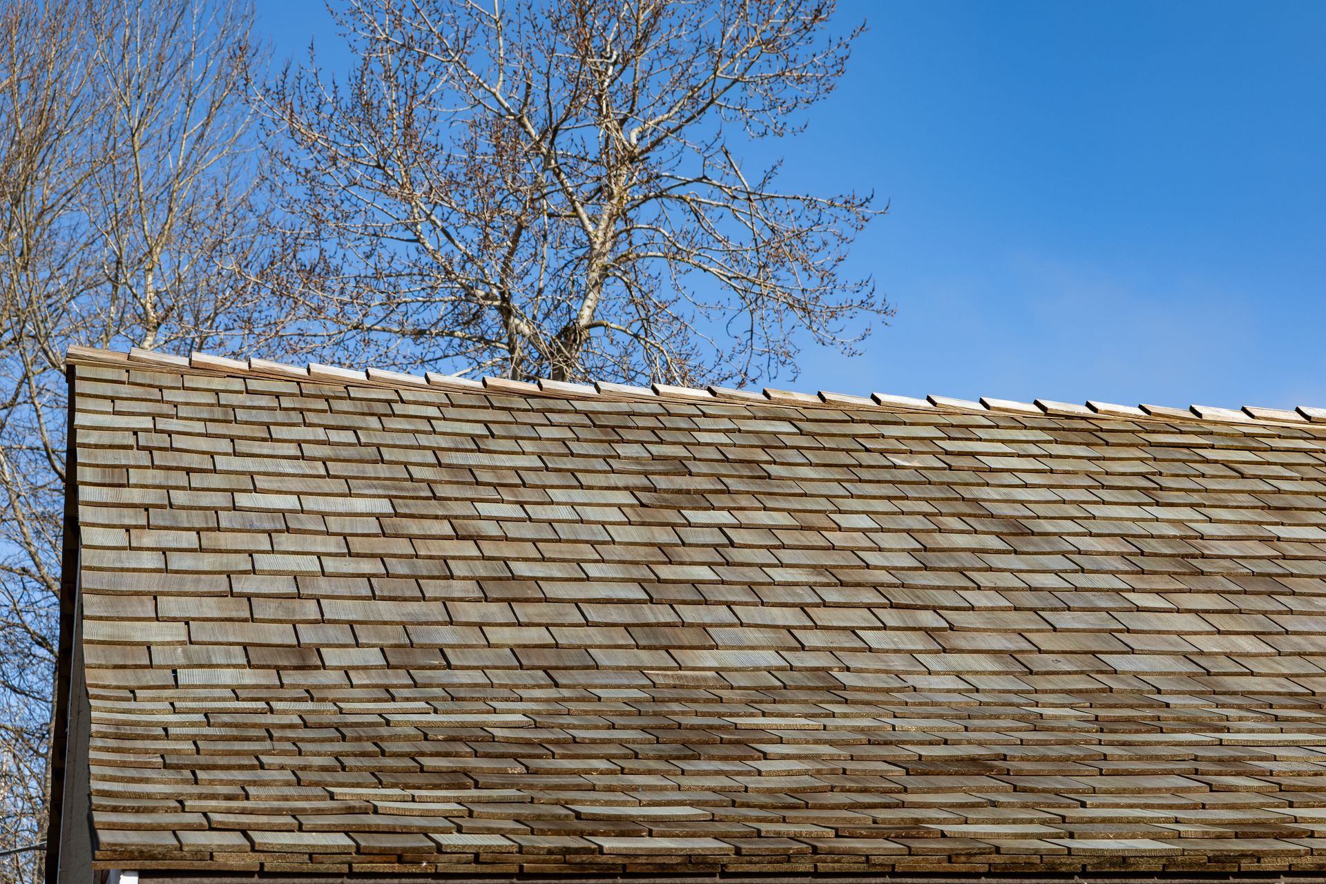 A close-up of a weathered, gray cedar shake roof against a bright blue sky with leafless tree branches visible.