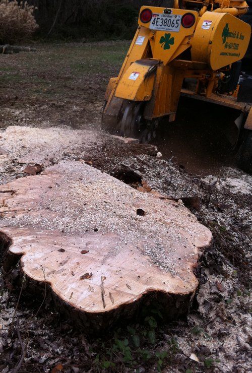 Stump grinding