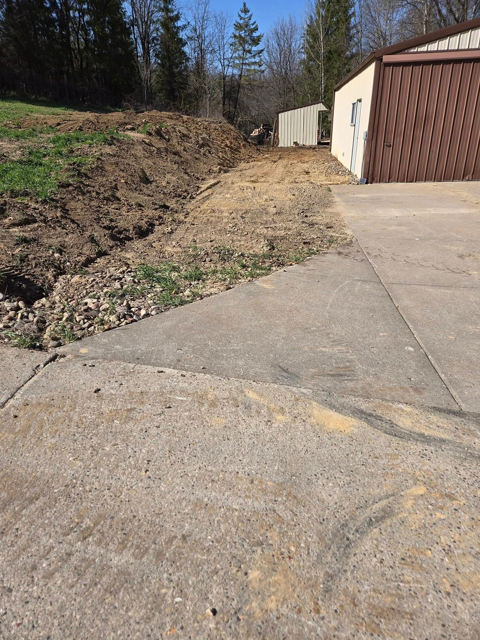 The aurora borealis is visible in the night sky above a tree.