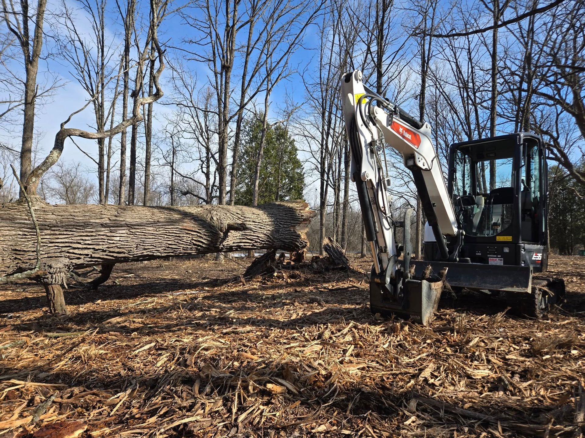 A small excavator is sitting in the middle of a forest next to a large log.