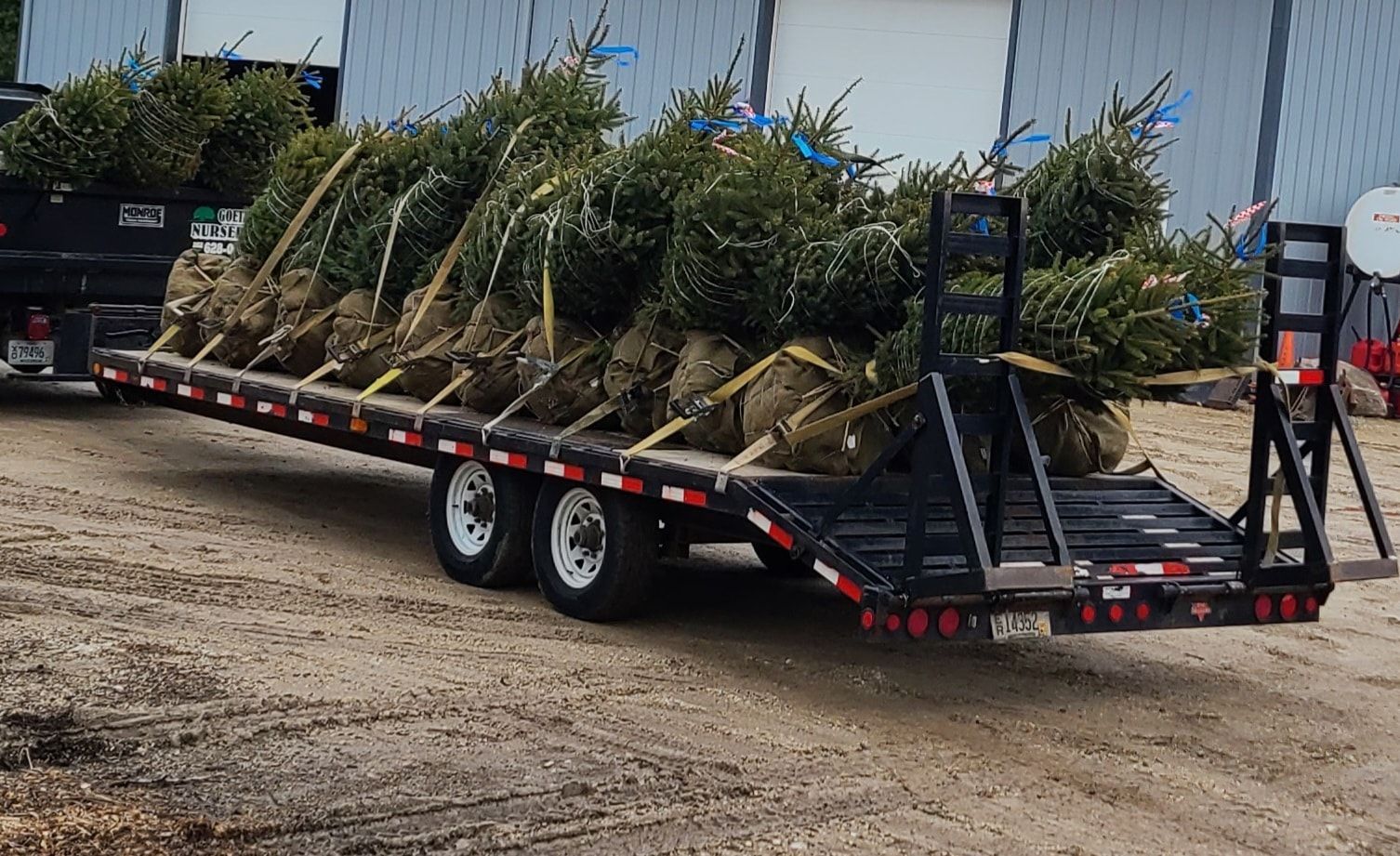 A trailer filled with christmas trees is parked in a dirt lot.