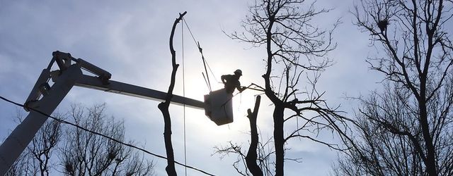 Tree Services Storm Clean Up Topeka Ks