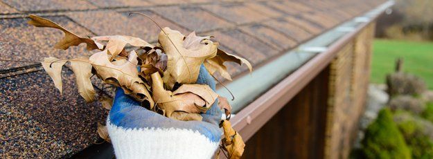 Gutters and Leader Services | Gutter Cleaning | Clifton, NJ