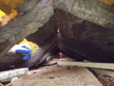 A gloved hand reaches into a charred wooden attic space, revealing burnt rafters and debris from fire damage.