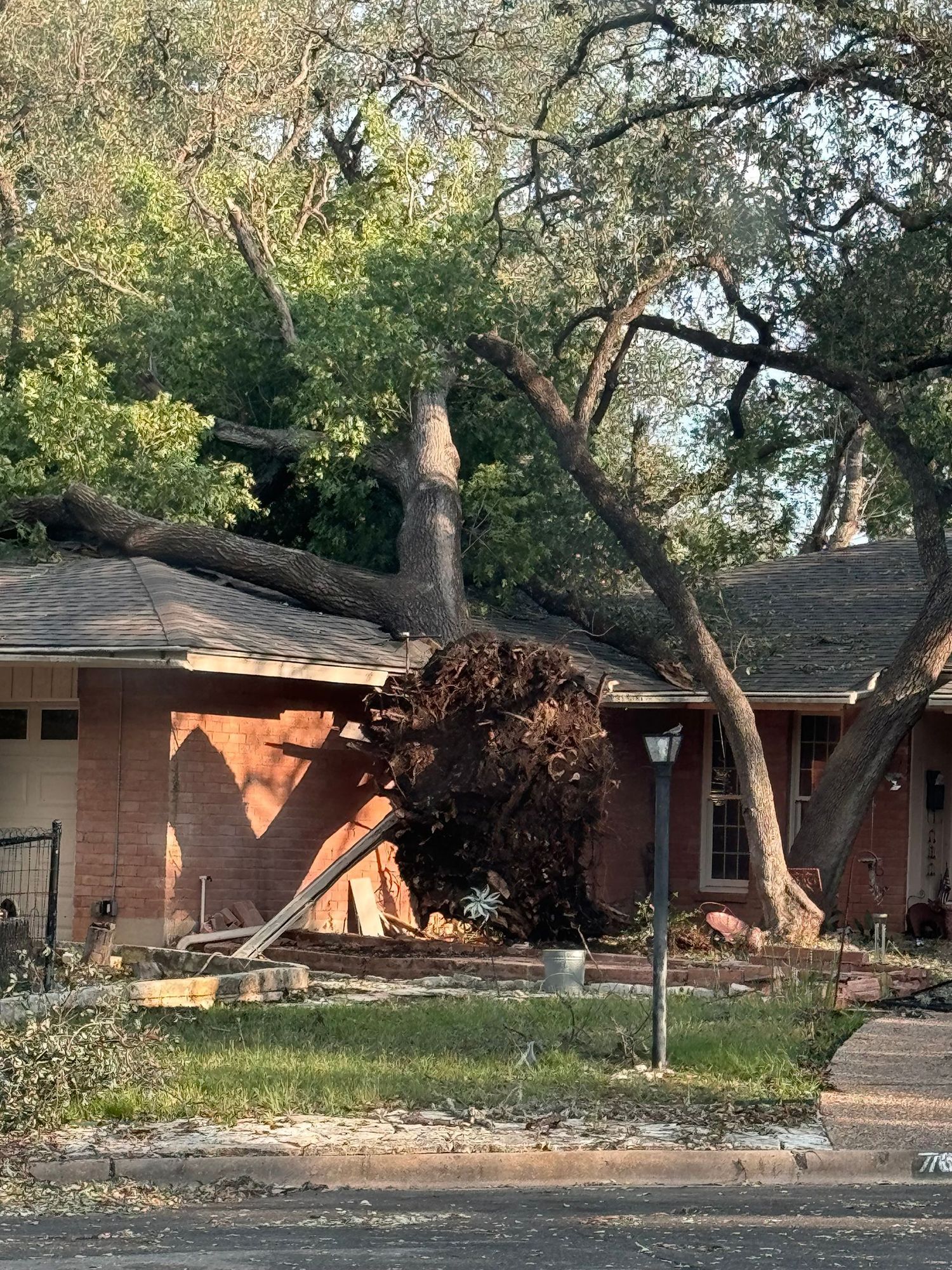 Tree fallen on a brick house roof