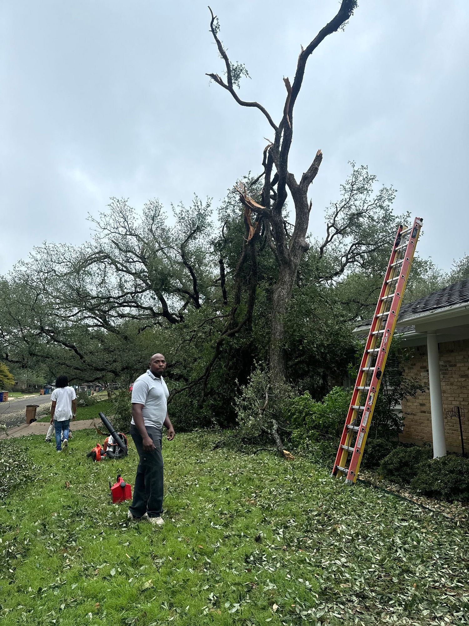 Damaged tree in front of a house