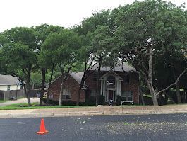 Brick house obscured by trees, with a traffic cone in the foreground.