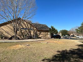 House with a tree, vehicle parked in yard, three tree stumps, clear blue sky.