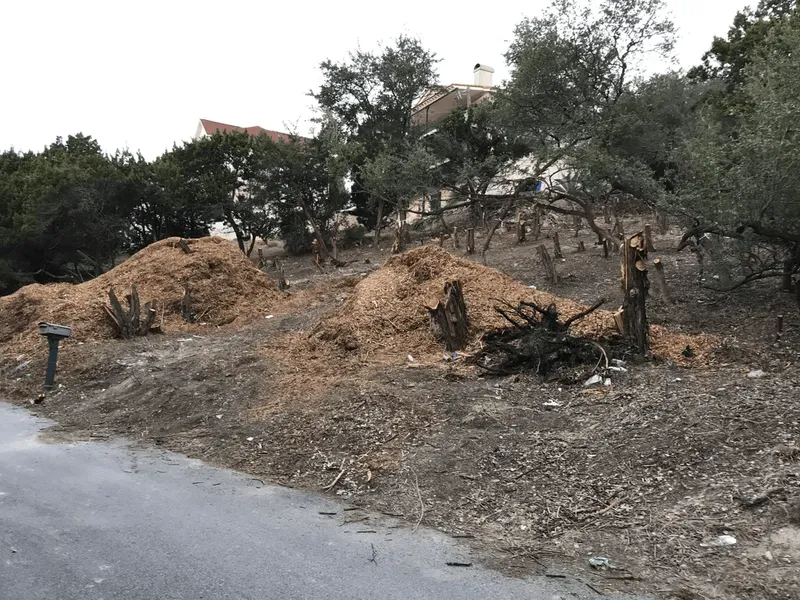 Wood chip piles on a hillside next to a road, with partially trimmed trees. A house sits in the background.