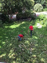 Two people in red shirts clearing pile of tree trimmings on grass.