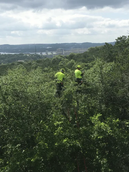 Two people in neon green shirts trimming trees on a hillside overlooking a distant body of water.