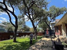 Man standing in a backyard with trees; house to the right, fence in the left.