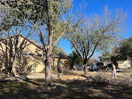 People pruning trees outside a beige building on a sunny day.