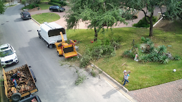 Tree trimming service in progress; a chipper and truck on a street, a person tossing branches.