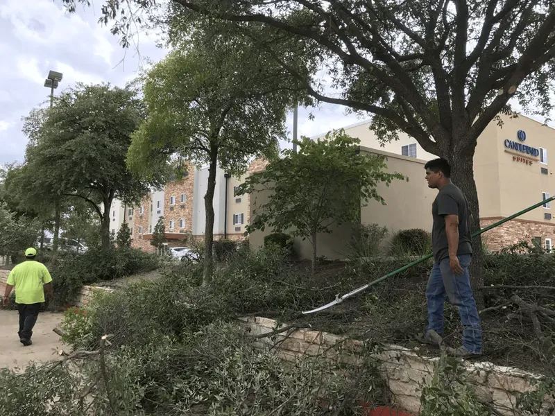 Two people trimming branches near a hotel. One in a green vest. Overcast sky.