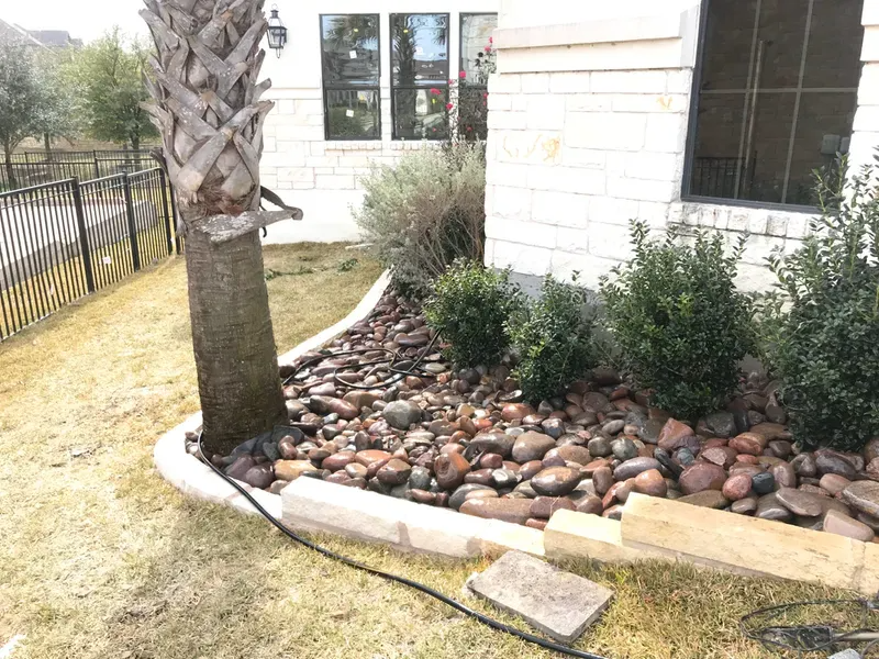 Stone-filled garden bed with a palm tree, bushes, and a house with a white stone facade.