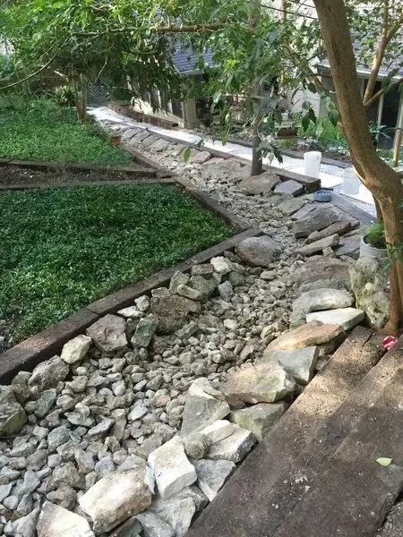 Stone-lined path with rocks and greenery, leading to a building with trees overhead in an outdoor setting.