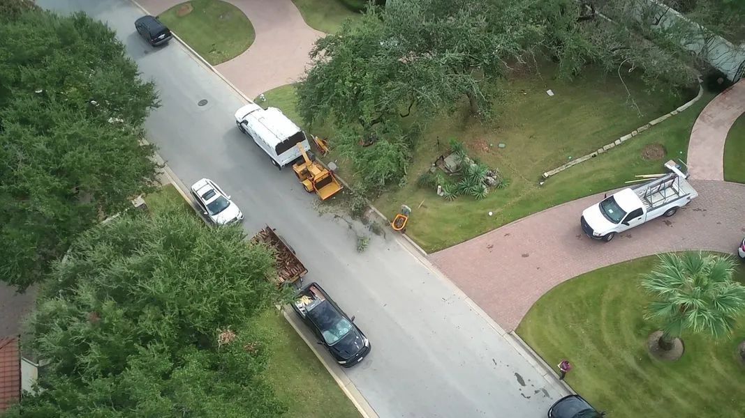 Street scene with utility trucks, cars, and trees.