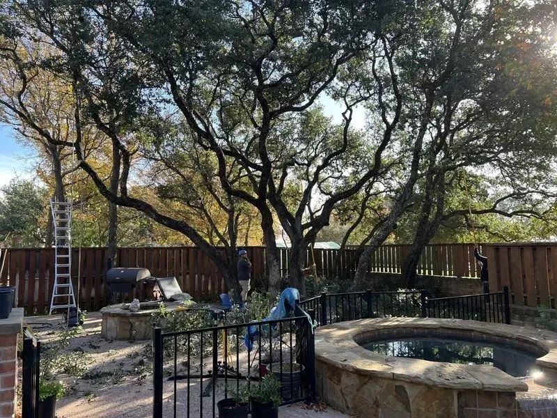 Large tree being trimmed in a backyard with a hot tub, fence, and fire pit.