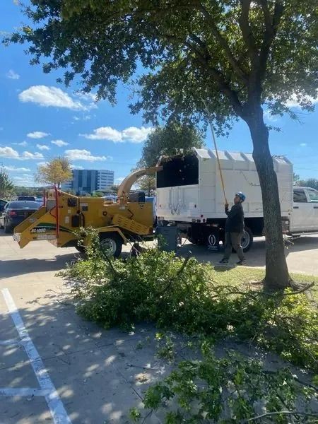 Tree service worker chipping branches into a truck with a chipper in a parking lot.