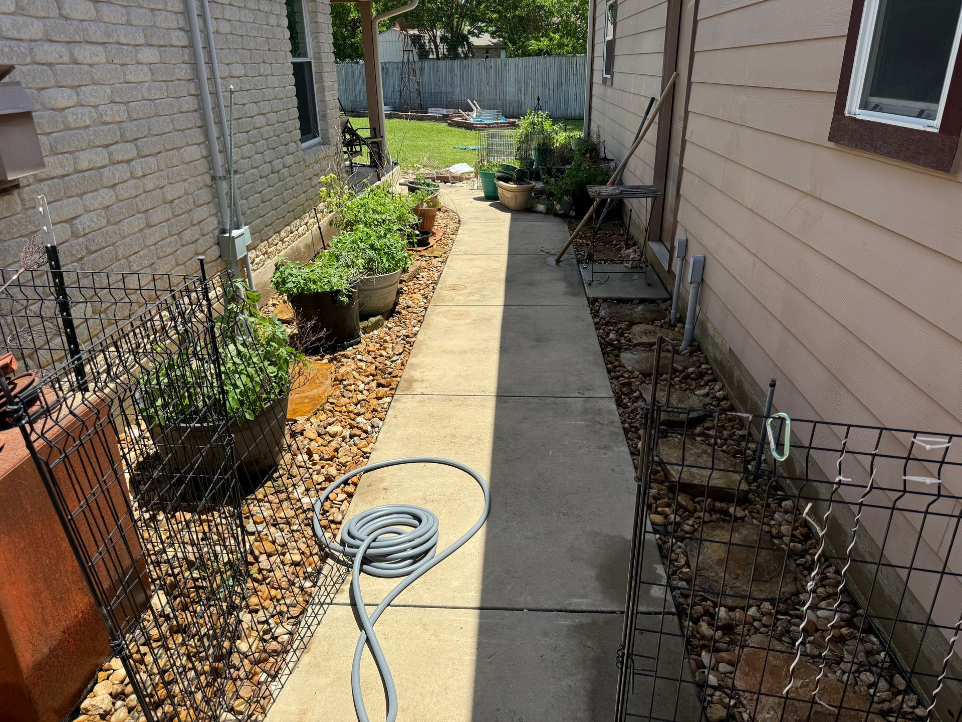 Narrow concrete path between two buildings, bordered by potted plants and rocks. A hose lies on the path.