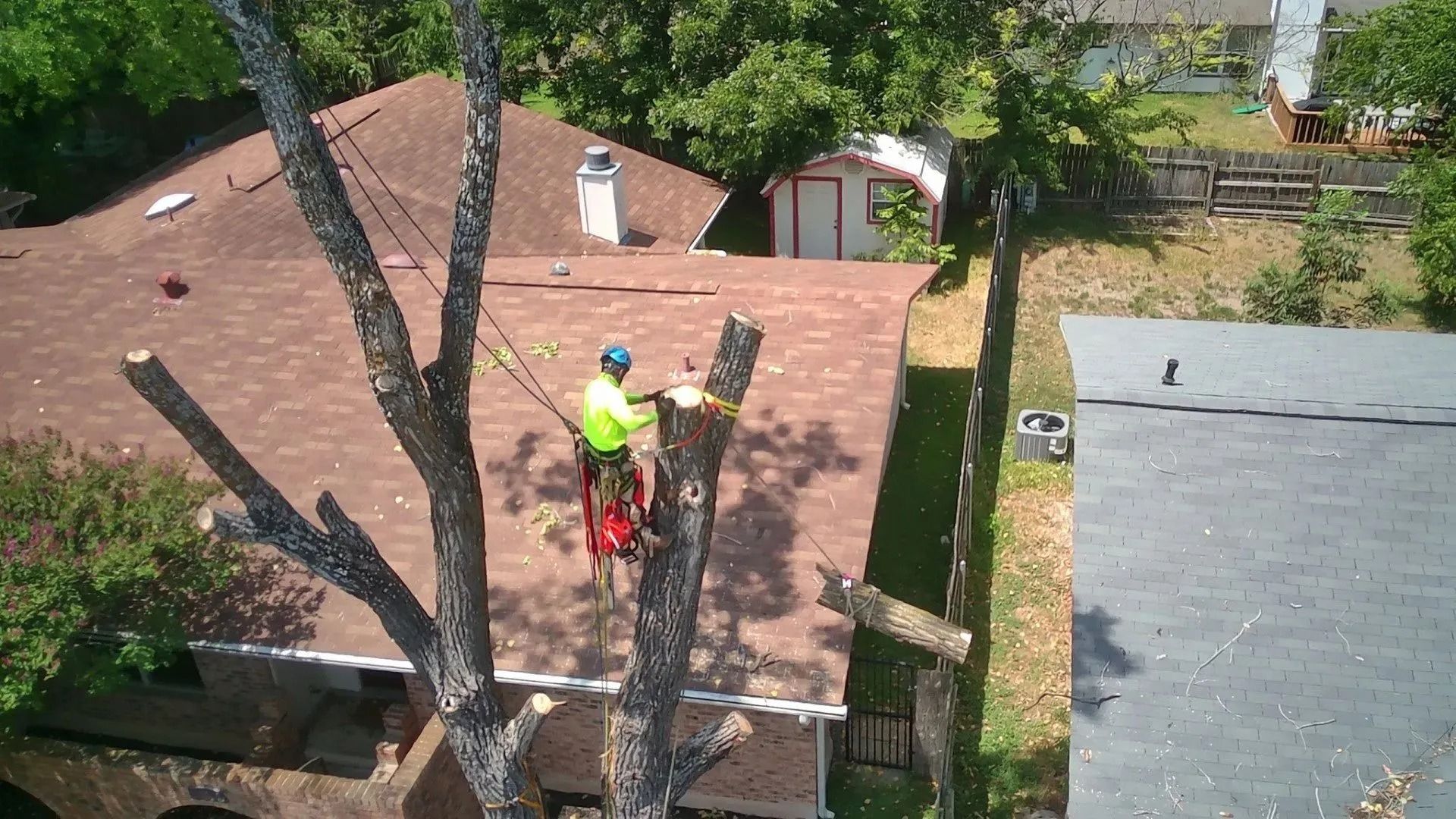 Tree service worker trimming a tree on a rooftop, wearing safety gear; brown roof, green grass.