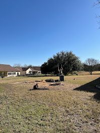 Grassy field with houses in the background and a statue under a tree on a sunny day.