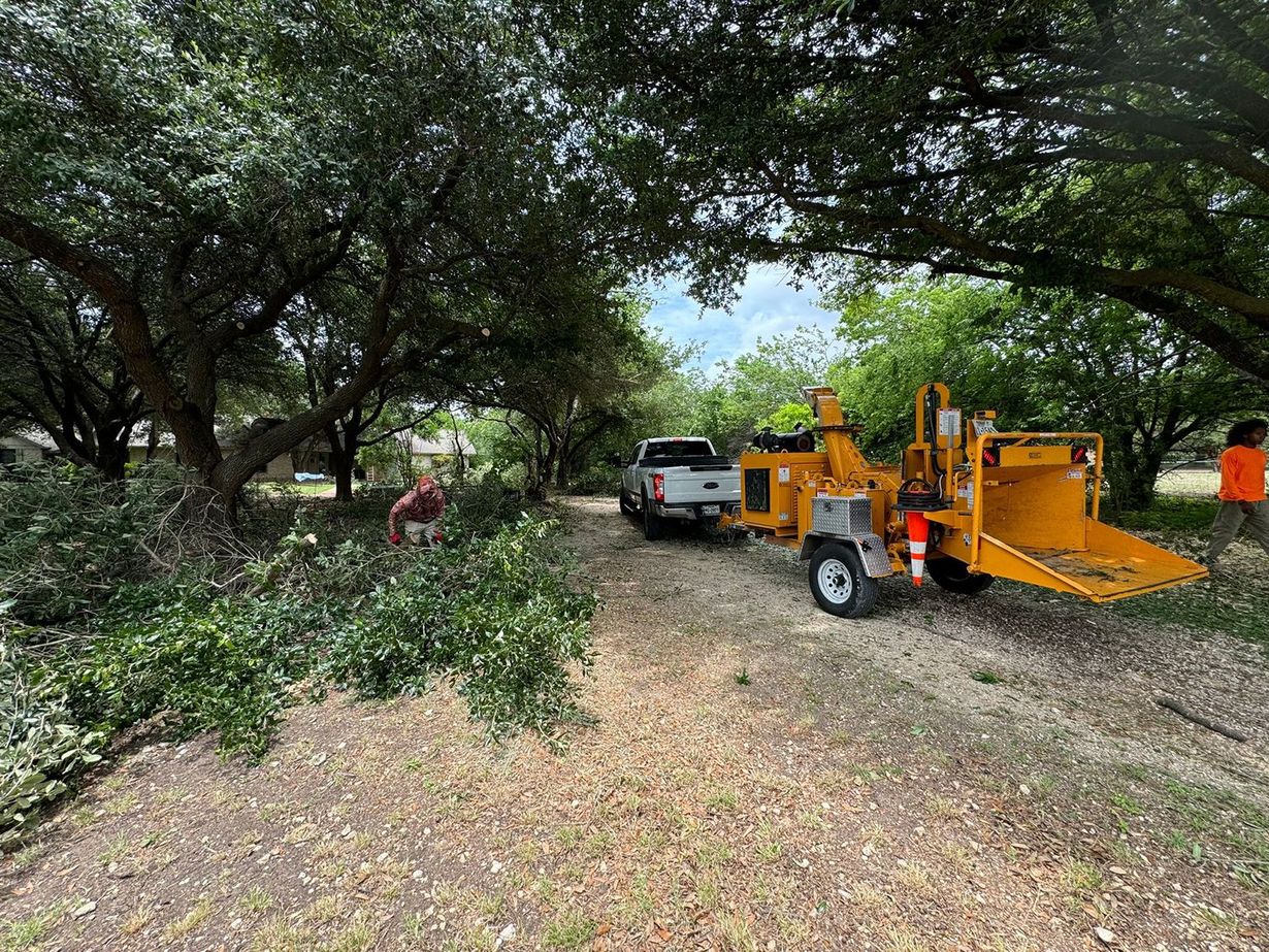 Workers clearing a lot