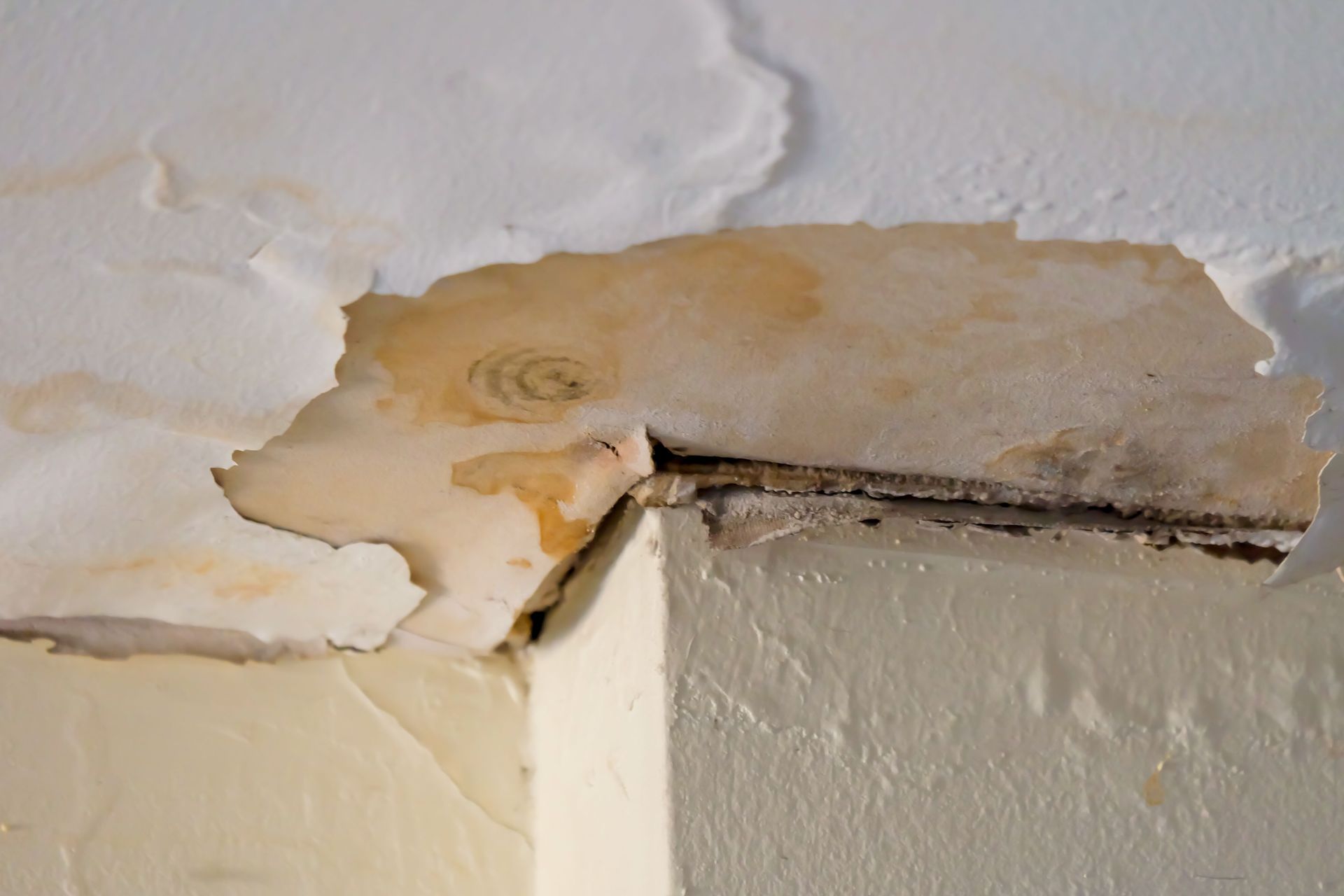 roof repair service