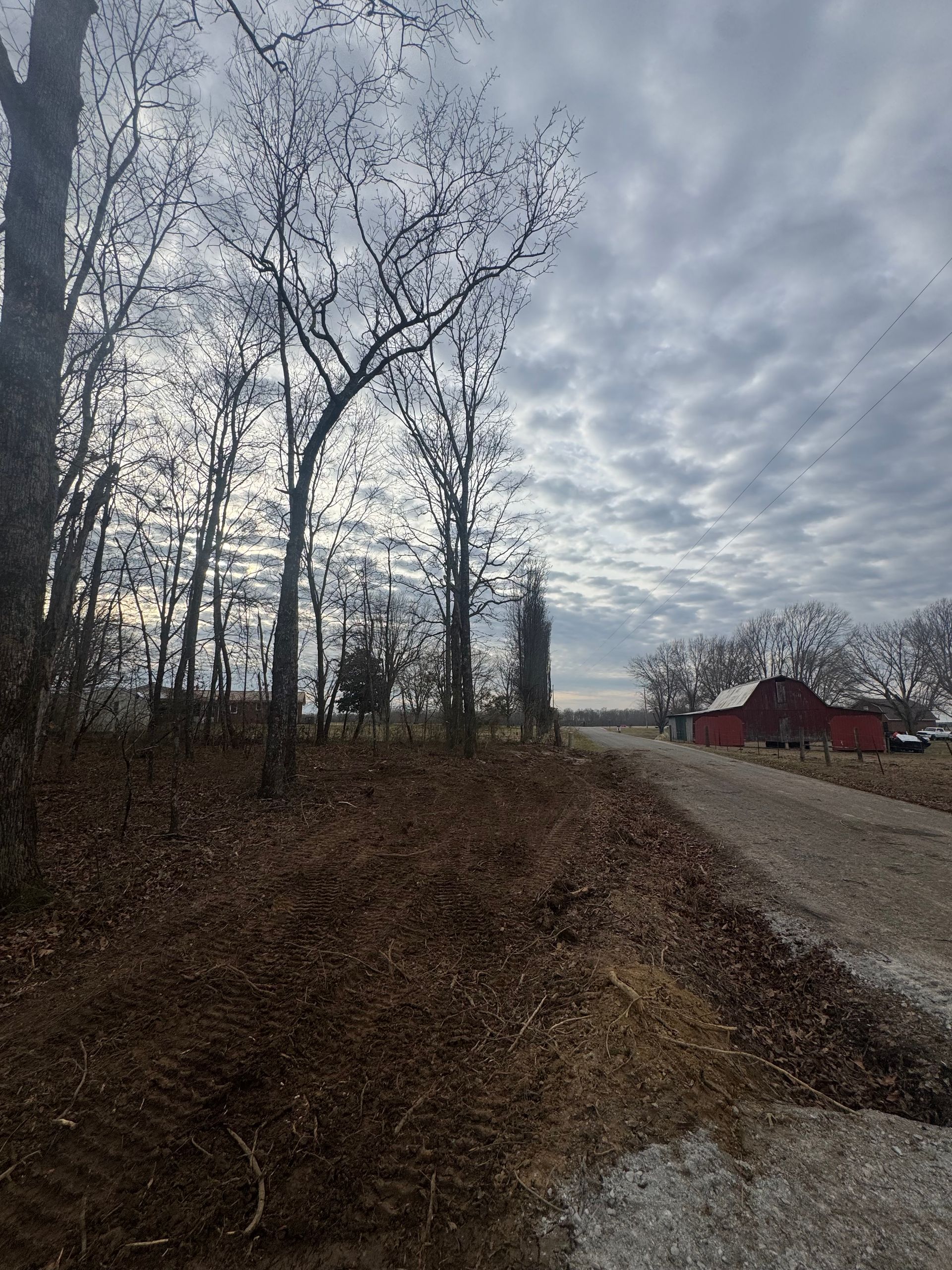 Bare trees and a dirt path leading towards a red barn under a cloudy sky.