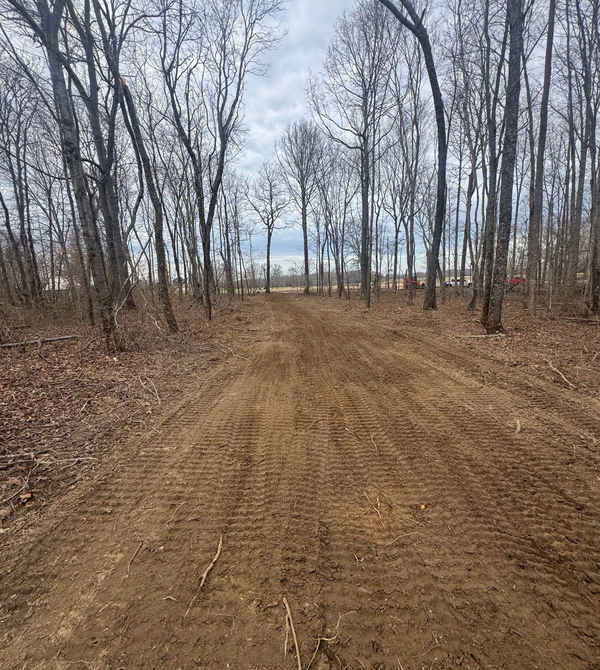 Dirt path through a bare-branched forest. Tire tracks on the path, overcast sky.
