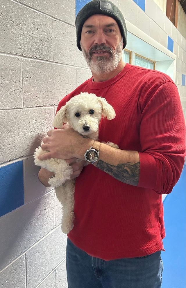 A man in a red shirt is holding a small white dog.