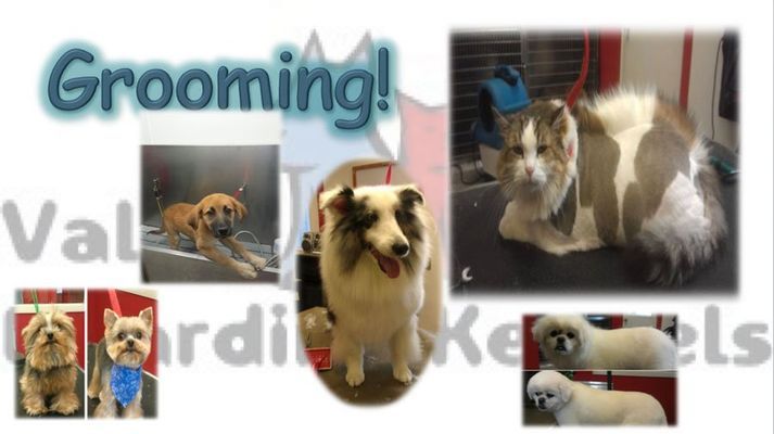 A collage of pictures of dogs and cats with the words grooming