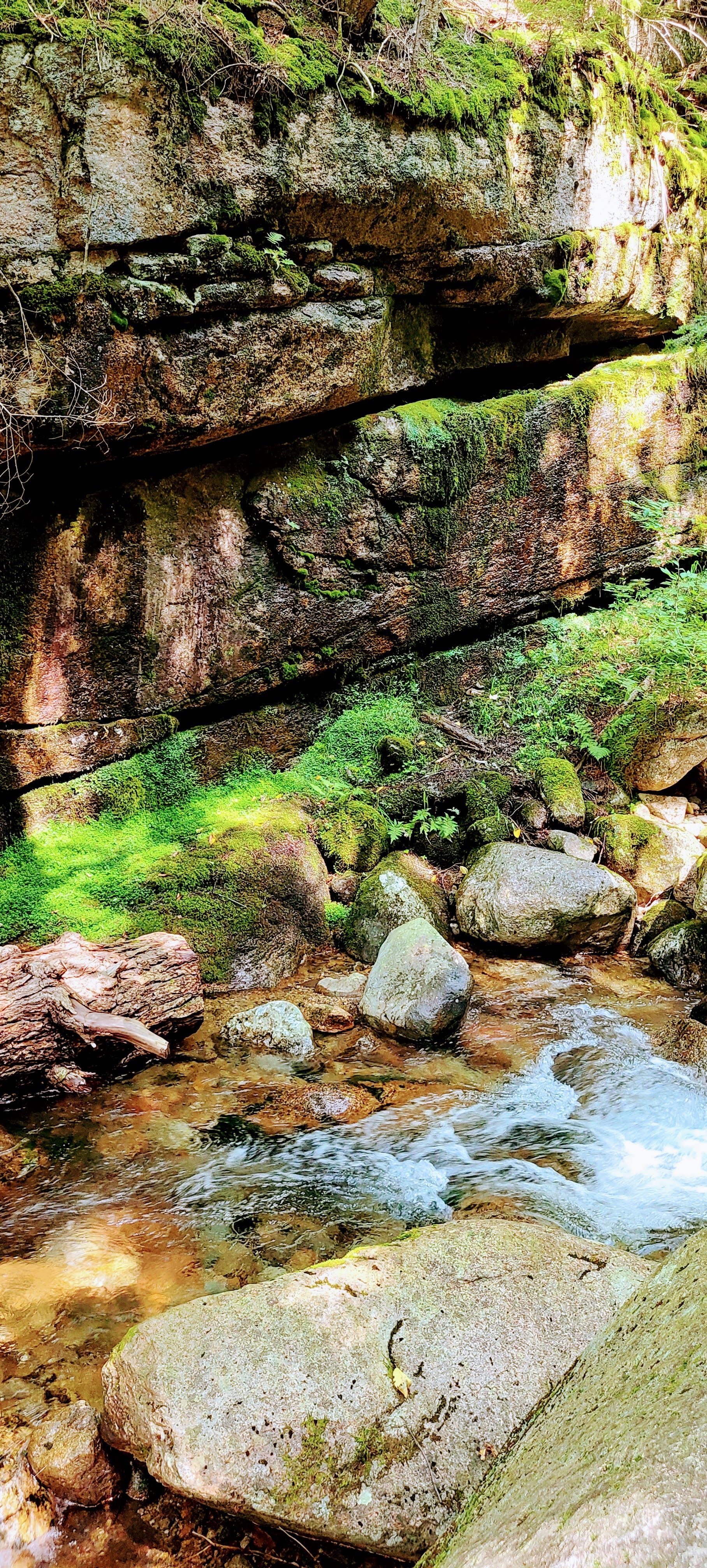 A river flowing through a rocky area surrounded by rocks and moss.