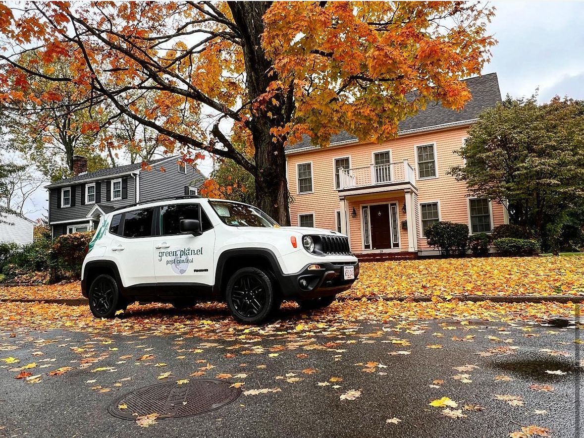 A white jeep renegade is parked in front of a house covered in leaves.
