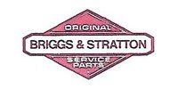 Briggs and Stratton