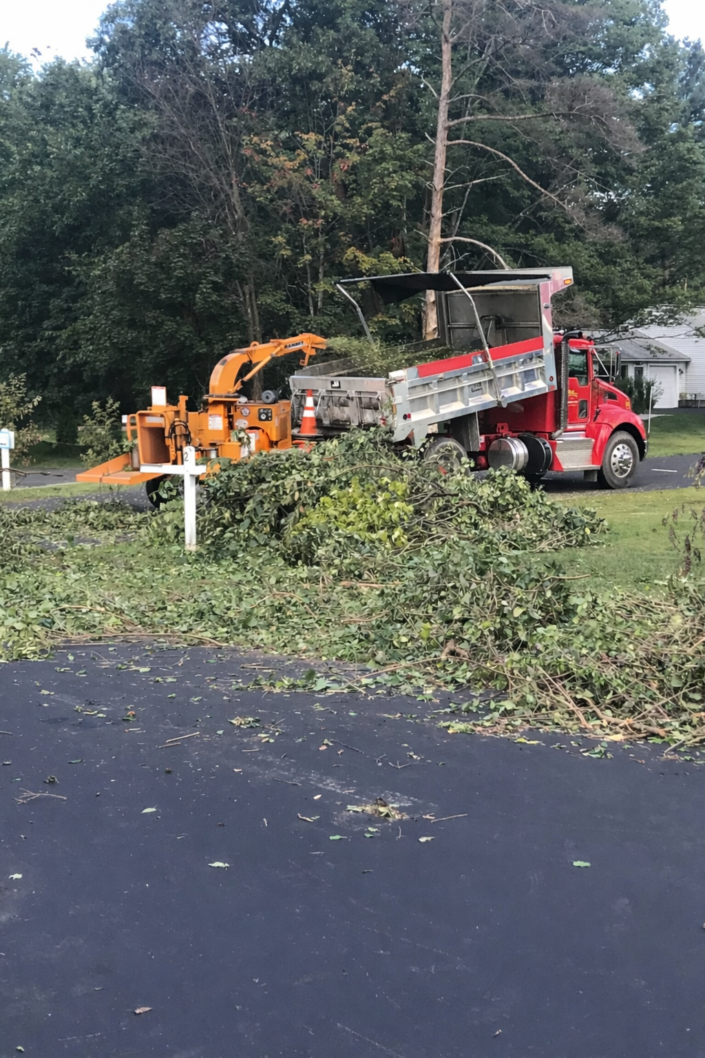Orange wood chipper and red dump truck processing tree debris on a driveway, with trees in the background.
