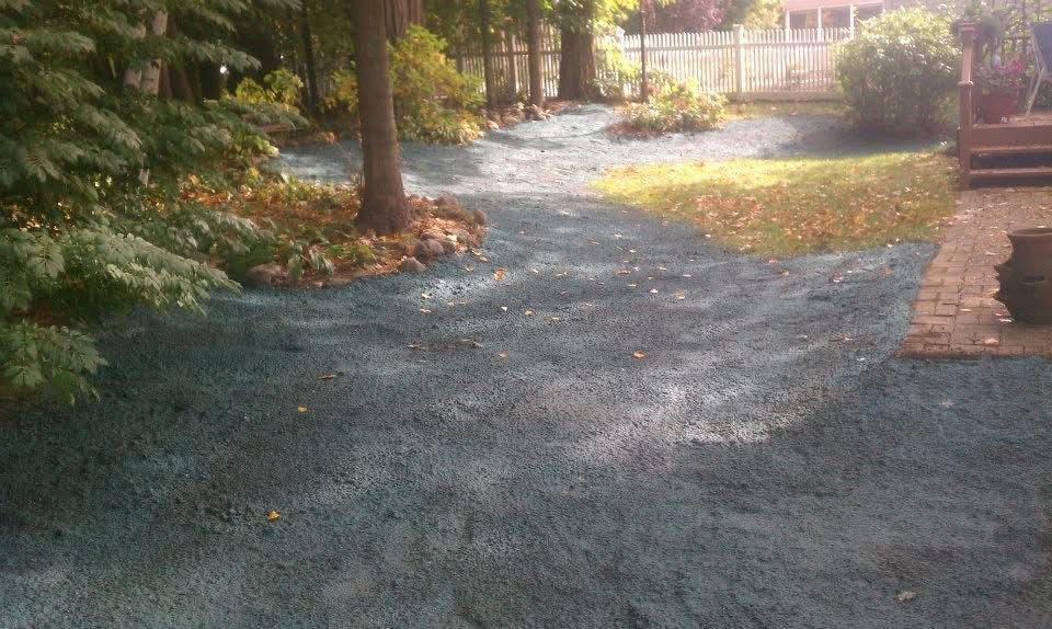 Backyard with newly seeded lawn, trees, and small garden. Green and brown hues dominate the scene.