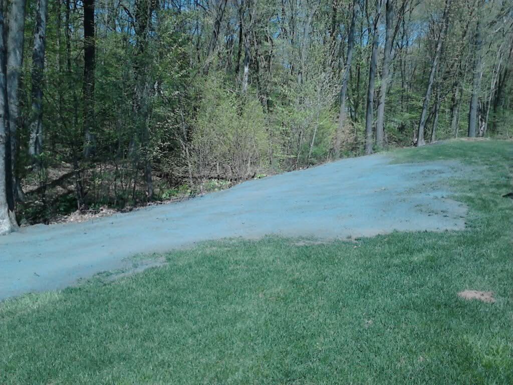 Green lawn and patch of blue-green hydroseed next to a tree line.