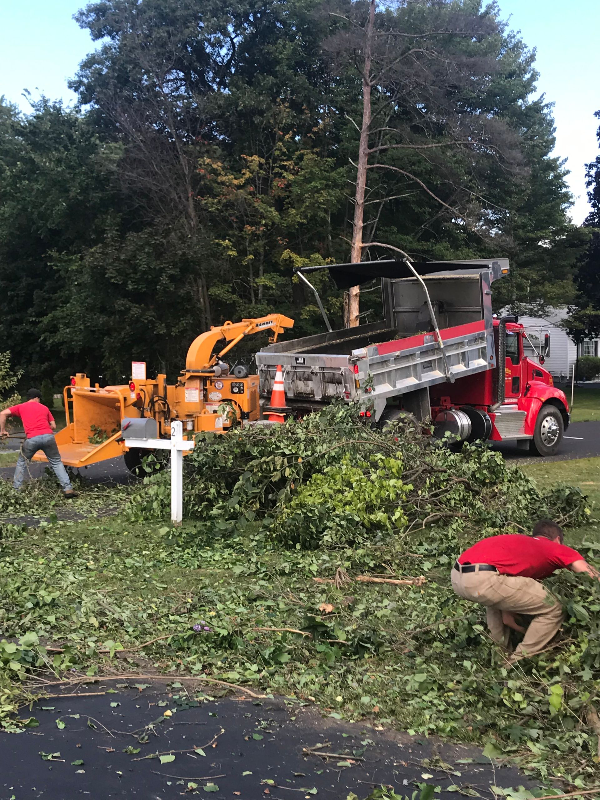 Tree service: Workers chip branches into a truck with machinery in a residential yard.