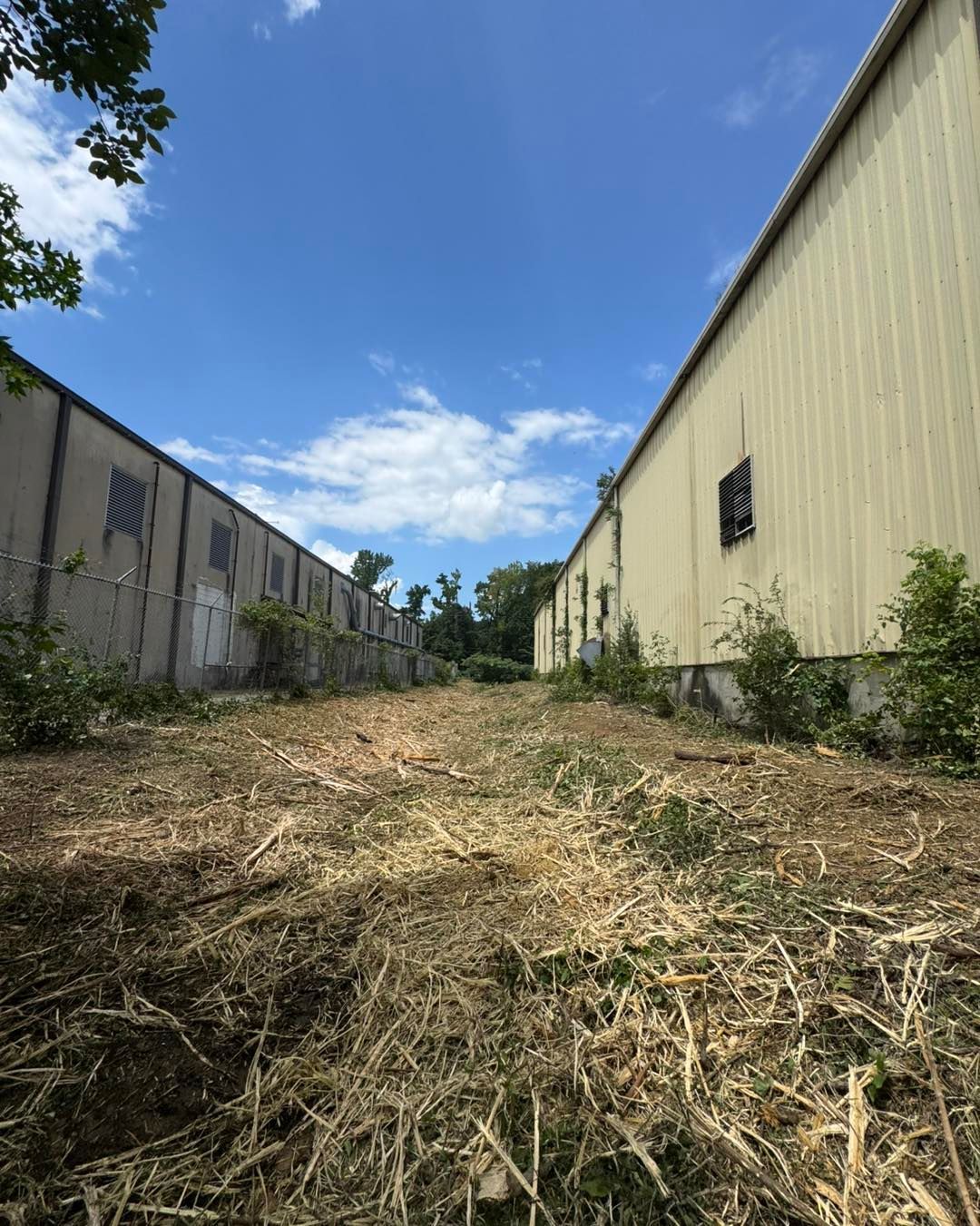 Two long, light-colored buildings flank a cleared, grassy area under a blue sky.
