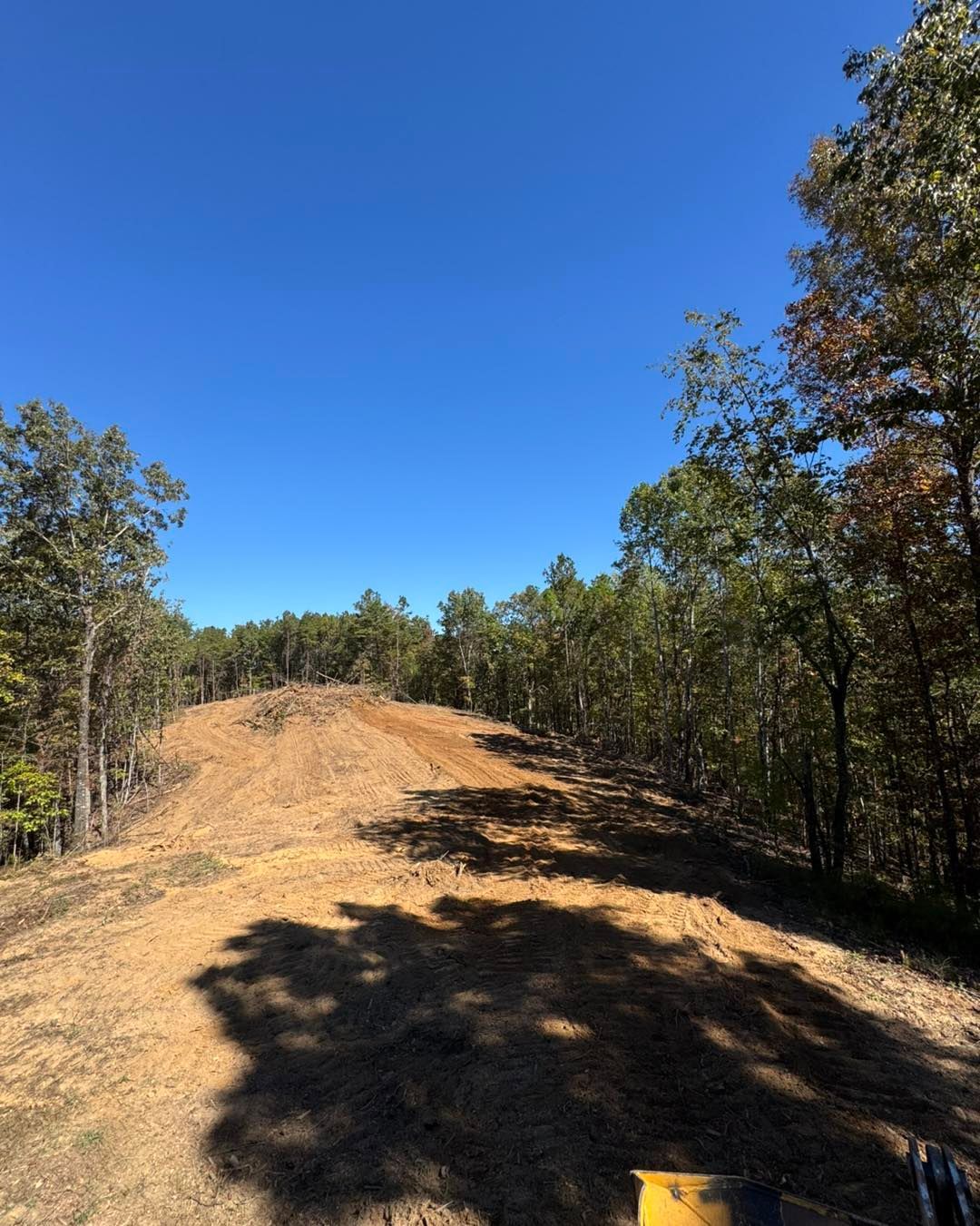 Cleared land path through a forest under a bright blue sky. Sunlight casts shadows on the dirt.