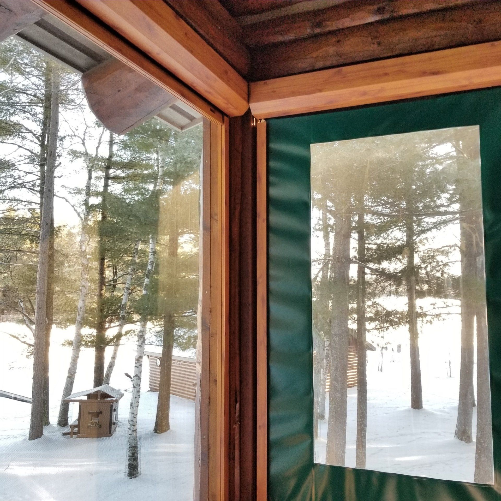 View through a cabin window overlooking snow-covered ground and trees. Green fabric frames the right window pane.