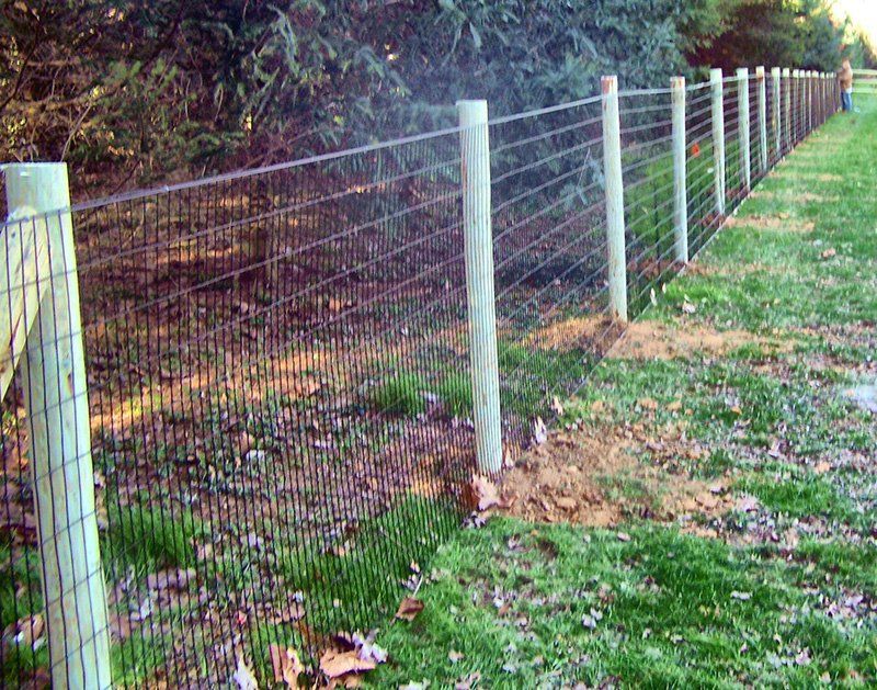 fencing