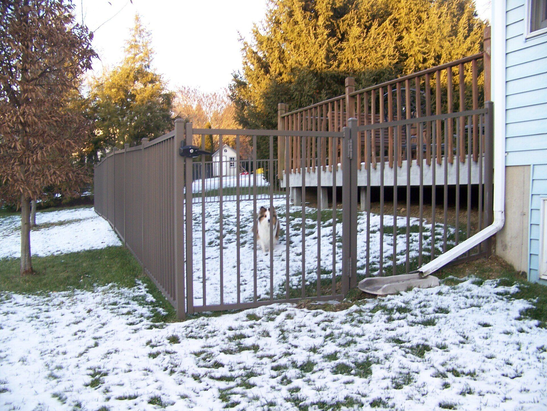 fencing