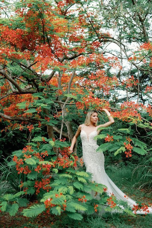 A woman in a wedding dress is standing in front of a tree with red flowers.